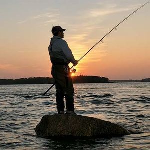 Meet your Posher, Ross